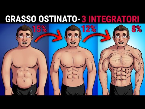 GRASSO OSTINATO E 3 INTEGRATORI SEMI-ILL3GALI Per Perdere Grasso