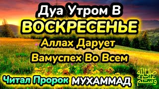 Дуа утром в воскресенье на Удачу. Читал Пророк МУХАММАДﷺ, ИНШААЛЛАХ АЛЛАХ ПОМОЖЕТ В ДЕЛАХ !!!