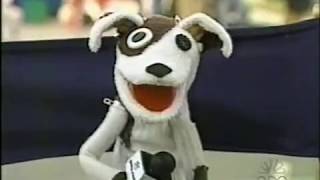 Pets.com Is Suing Triumph the Insult Comic Dog  5/2/2000