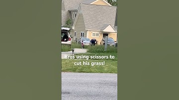 #landscaping #mowing #fail #shorts #funny #crazy #confused #2025 #laugh #struggle #fyp #work