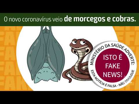 Não às fake news | COVID-19