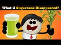 What if Sugarcane Disappeared? + more videos | #aumsum #kids #science #education #whatif