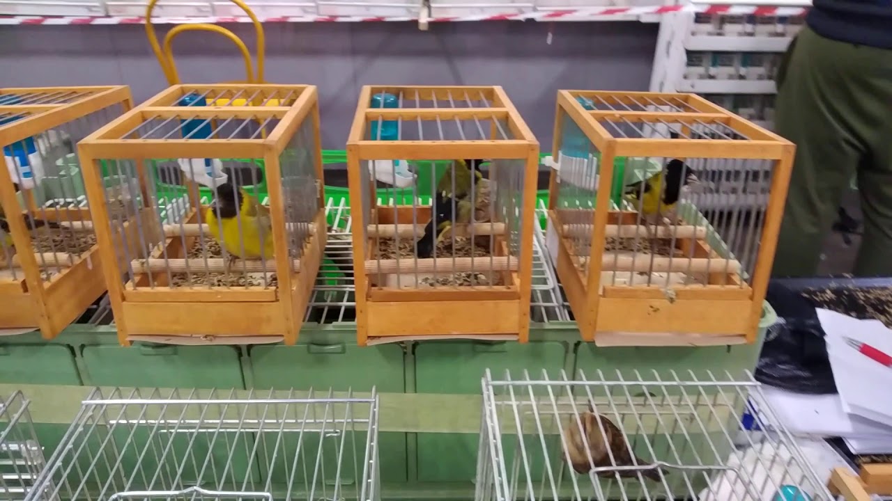 LA VENTA EN REGGIO EMILIA