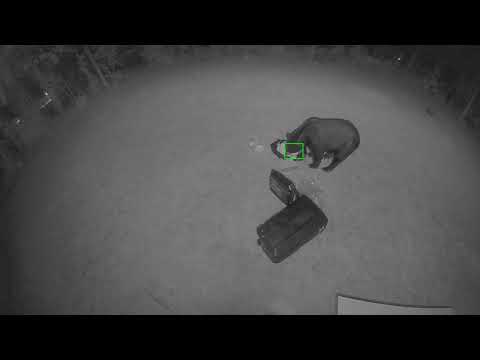 Security Camera Captures Bear Digging Through Trash at Night
