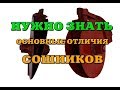 Сошник сеялки СЗ. Отличия широкорядного и узкорядного сошника