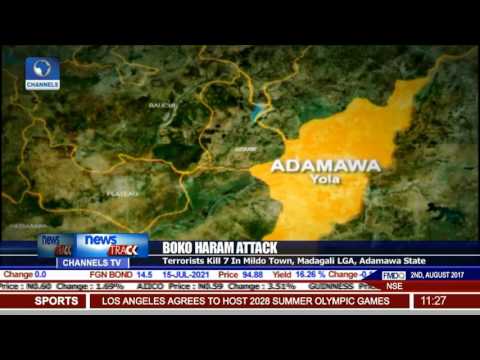 Boko Haram Attack Terrorist Kill 7 In Madagali LGA Adamawa State
