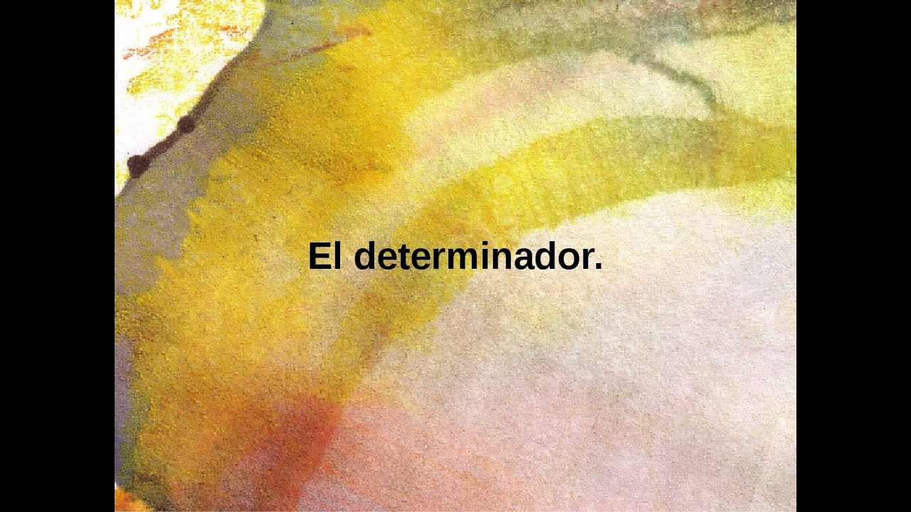 El Determinador 12 de 14