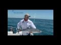 Couta stickbait fishing in mozambique with lance klusener