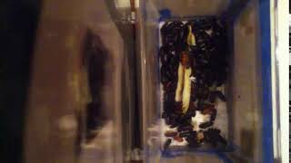 IMG 4497 358