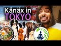 Hunde machen Urlaub in Japan und ein kleines Statement wegen eurem Support mit einem Danke