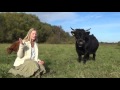 Cowgirl school 8 - Cows on heat