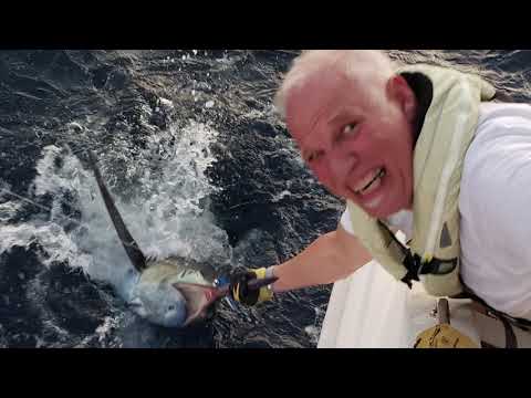 Blue Marlin Catch while Sailing Catamaran in Gulf of Mexico - EP21