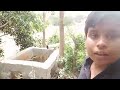 Aj gow  mai ja kr qurbani li