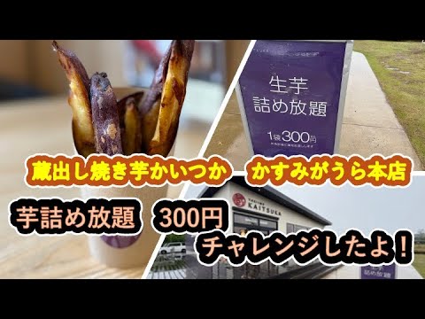 蔵出し焼き芋かいつか かすみがうら本店に行って芋詰め放題をやってきましたよ！