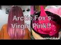 DYING MY HAIR PINK!! WITH UPDATES// ARCTIC FOX DYE