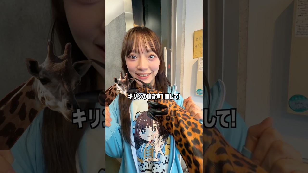 キリン の 鳴き声