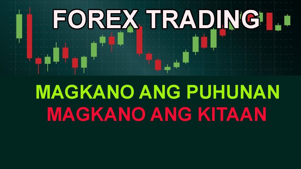 Forex Capital | INVESTMENTS