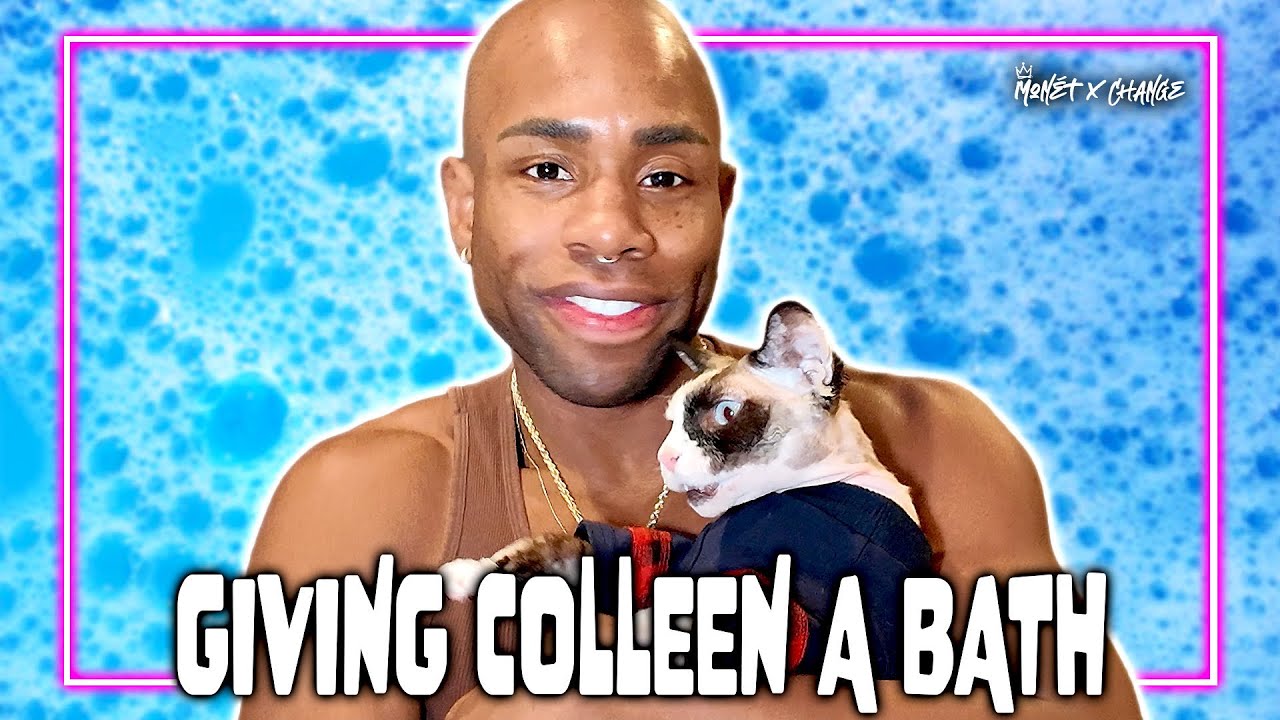 Monét Is Bathing Her Sphynx Cat Colleen 2.0
