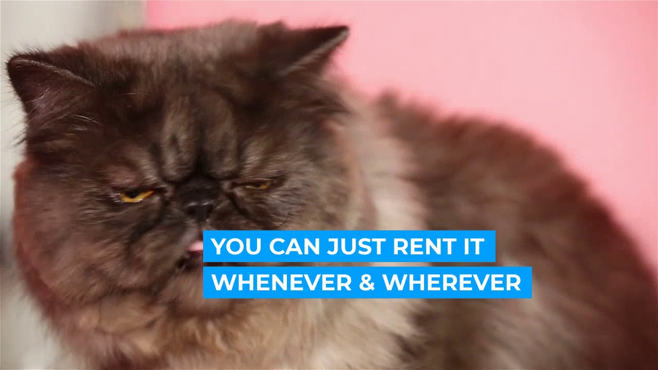 JUST RENT IT AND SAVE MONEY