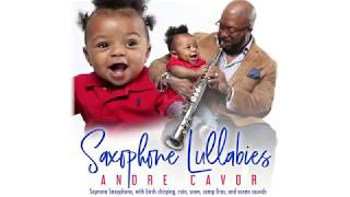 'Saxophone Lullabies' oleh Andre Cavor -5 jam Baby Sleep Music