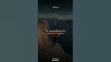 #سورة_لقمان بصوت الشيخ #ياسر_الدوسري #quran #قرآن  #al1thekr #kuran #quran_alkarim
