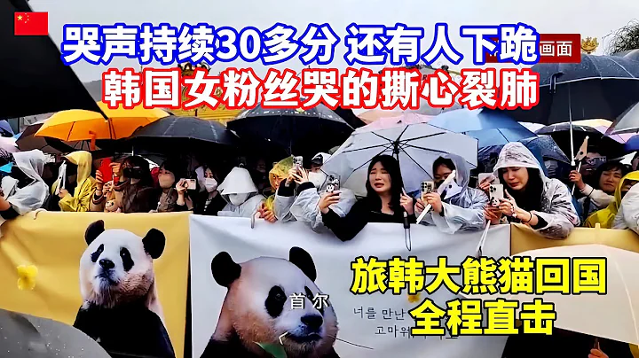 哭嚎聲一片！韓國上萬人送別旅韓大熊貓回國，「福寶」乘專機抵達成都/Giant panda "Fubao" returns to China, Koreans bid farewell in tears - 天天要聞