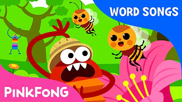 Nature | Word Power | Learn English | Pinkfong Songs for Children