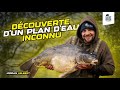 En session avec jordan helbert   dcouverte dun plan deau inconnu