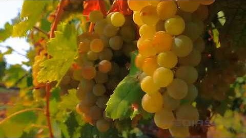 Identificación Geográfica - Valle de Cinti