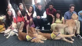 West Side Story cast sings happy birthday to Zari and Zoom West Side Story cast sings happy birthday to Zari and Zoom