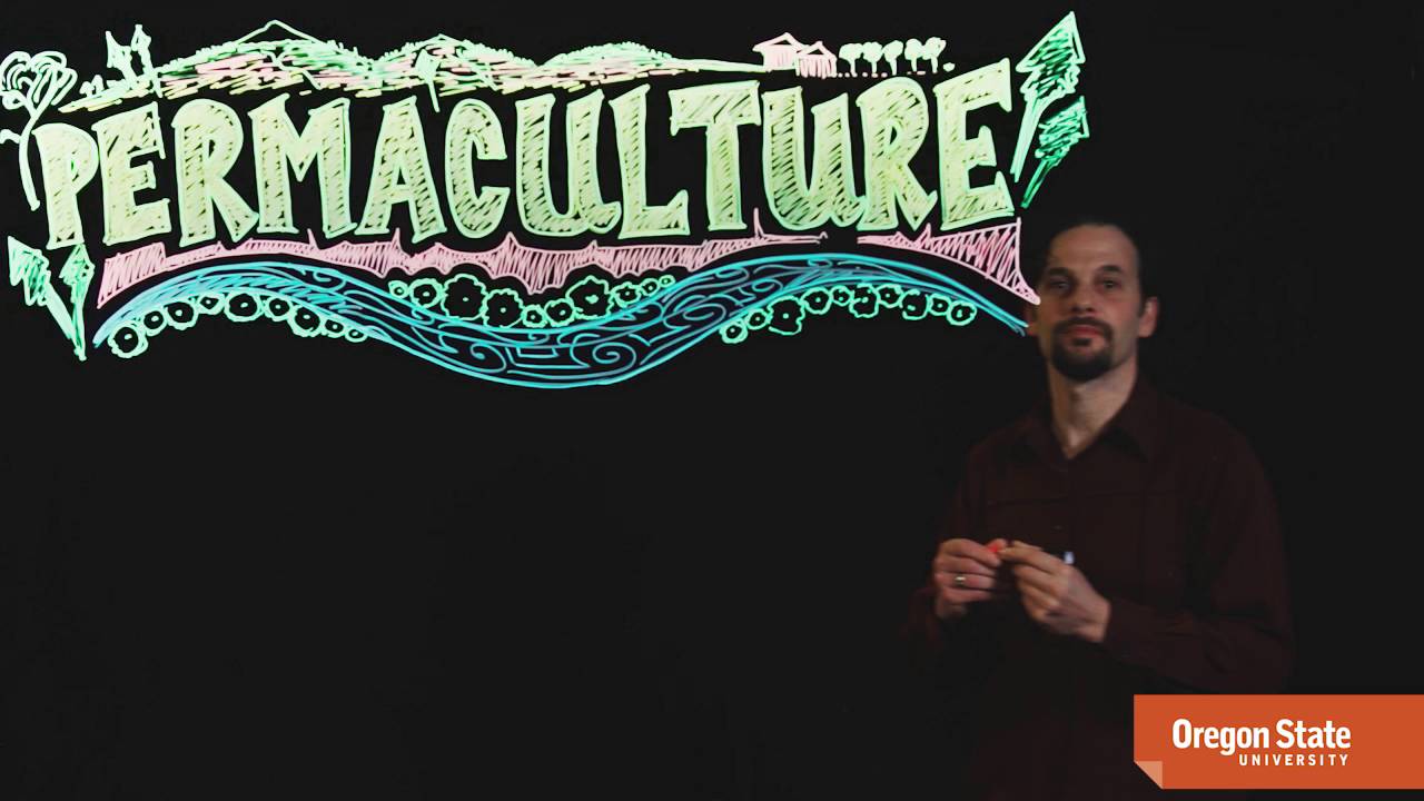 Course Preview- Intro to Permaculture - YouTube