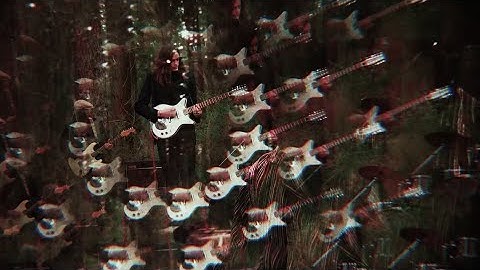 Druid Fluids - Flutter By (Official Video)