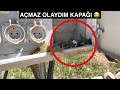 ELEKTRİK PANASUNDAKİ KUŞ YUVASINA BAKIYIM DEDİM 10 KİLO VERDİM🤦🏽‍♂️