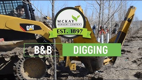 What does balled & burlap (B&B) mean?