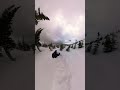 Powder in the trees