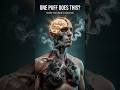 What Happens Inside Your Body When You Smoke Cigarettes (In Seconds)