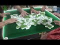 Find Out Who Wins: Bronx vs Queens - Best Mahjong Game Part 2 -Jhat Mahjong Series No. 301