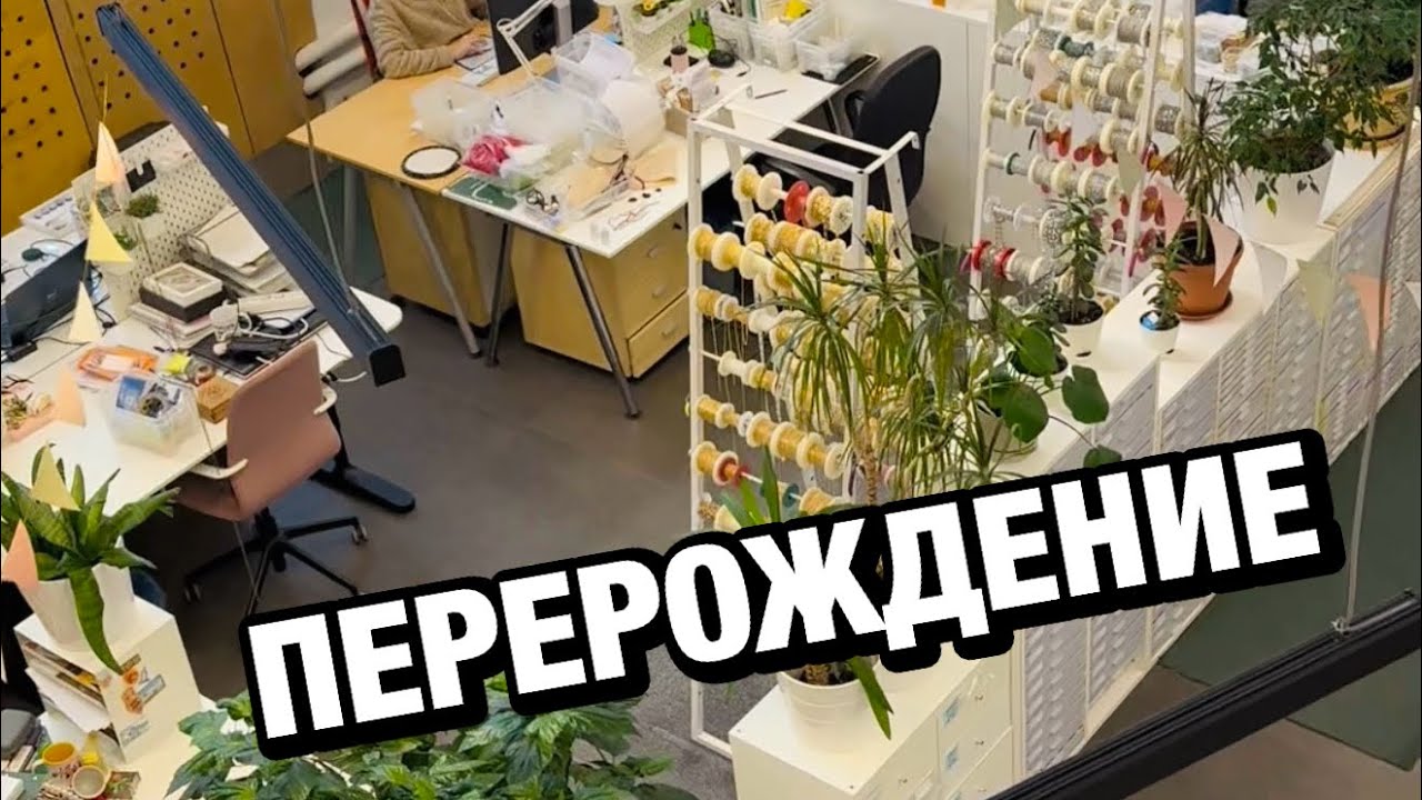 💫 Это путь и мы пройдём: как мы проходим кризис. Влог: перестановка в офисе