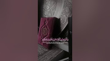 أواخر سورةالبقرة بصوت خاشع للقارئ قادر الكردي