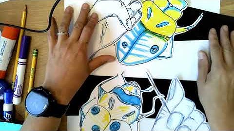 Contour Line Drawing Project 1