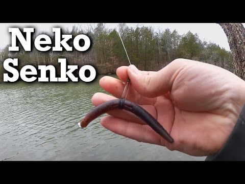 Learning from Bass Fishing Jersey - Senko Series Episode 1 