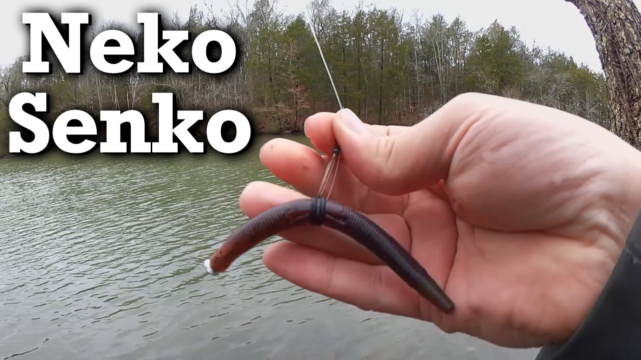First Bass on a Neko Rig Senko - Wacky Winter Fishing 
