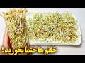 طرز تهیه جوانه ماش آموزش آشپزی ایرانی Sprout Mung Beans 
