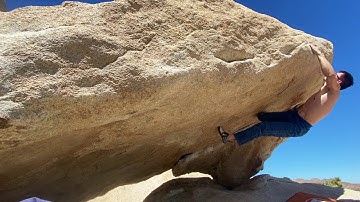 The Love Machine (V10) / Joshua Tree (Tao)