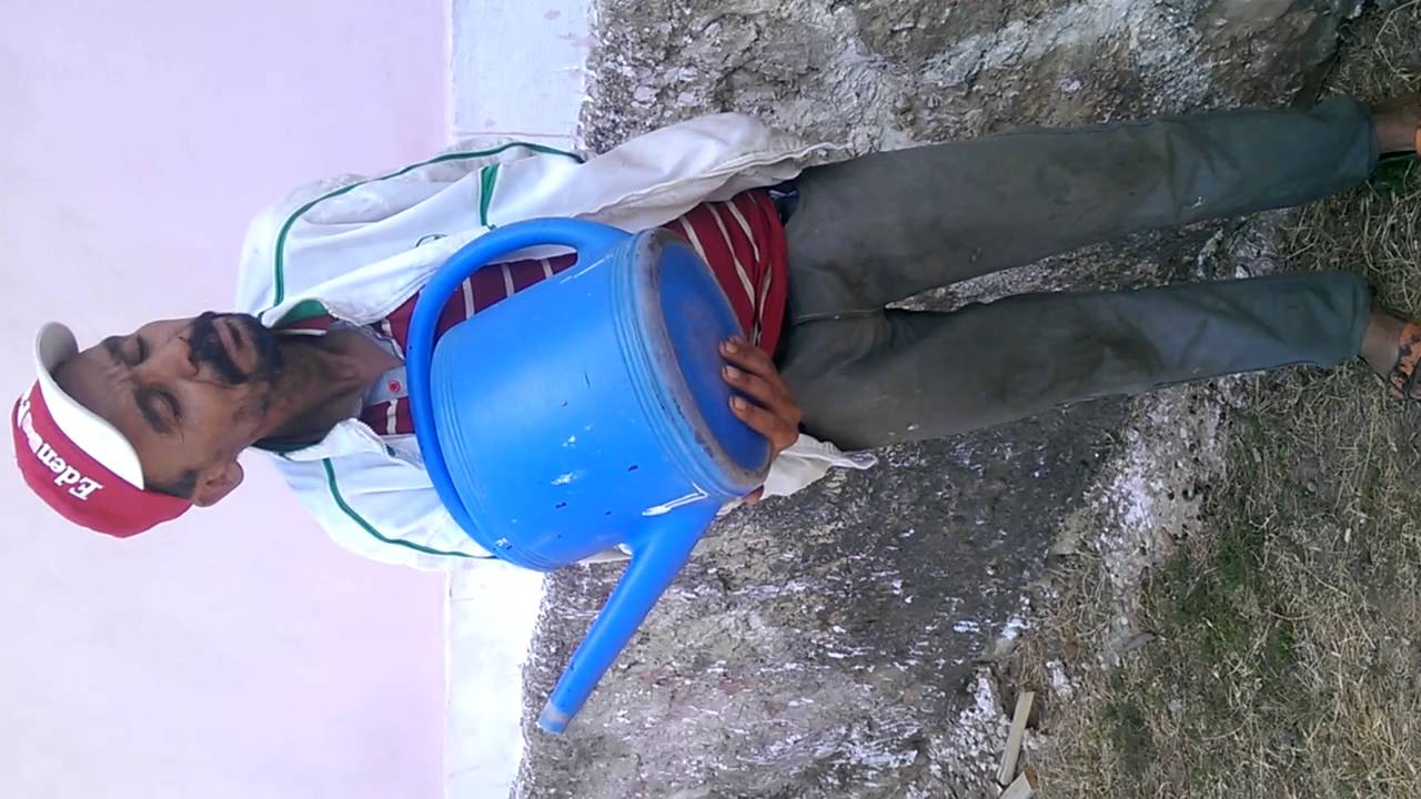 شوشو الطارف