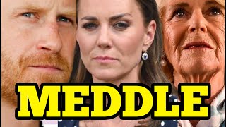 Top Royal Experts Worried For Kate Middleton Camilla Meddling Against Harry