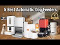 ✅ Top 5 Best Automatic Dog Feeders 2026 (Buying Guide)