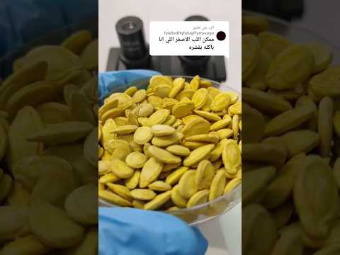 لب أصفر تحت الميكروسكوب   