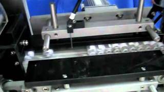 3 - Pharma - Vial labeler with bottle-to-tray insertion.avi