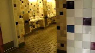№ 43 США Американские Туалеты - Чистота и Красота и НЕ ВОНЯЕТ 08.06.2009